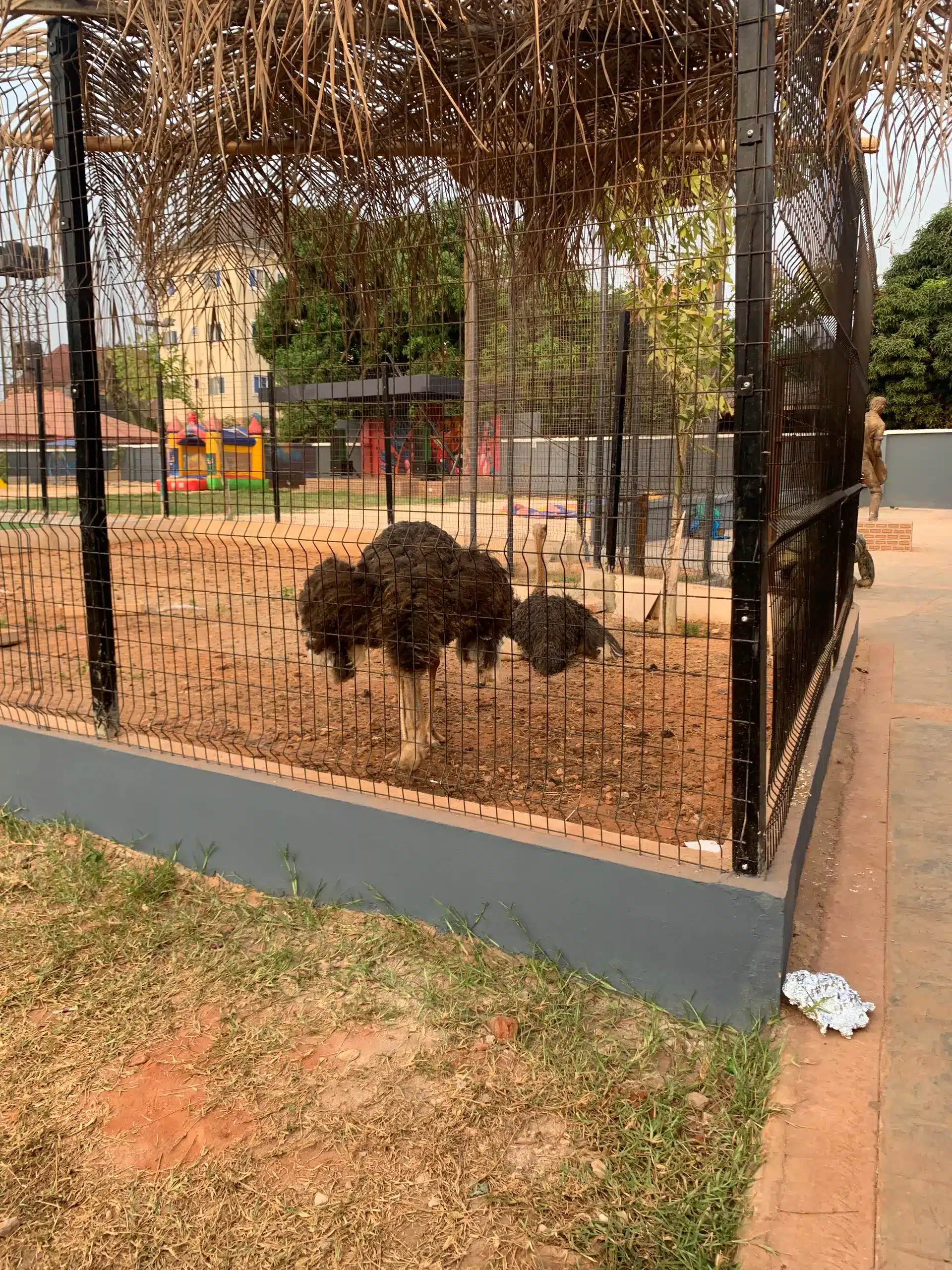 Mini zoo at New Berries children park in Awka